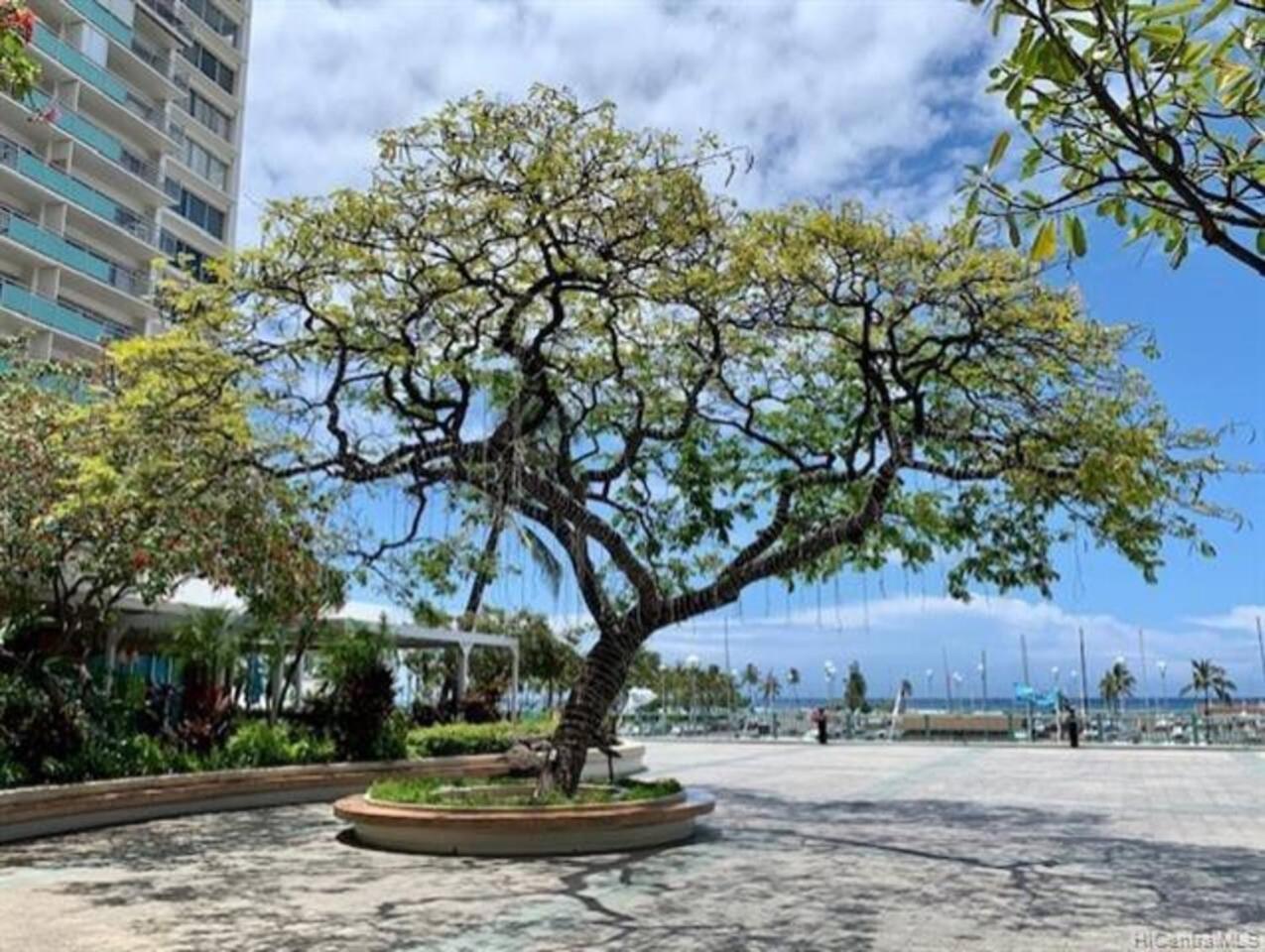 Ilikai On Waikiki Beach Oceanview Hotel Condo 1729 Honolulu Bagian luar foto